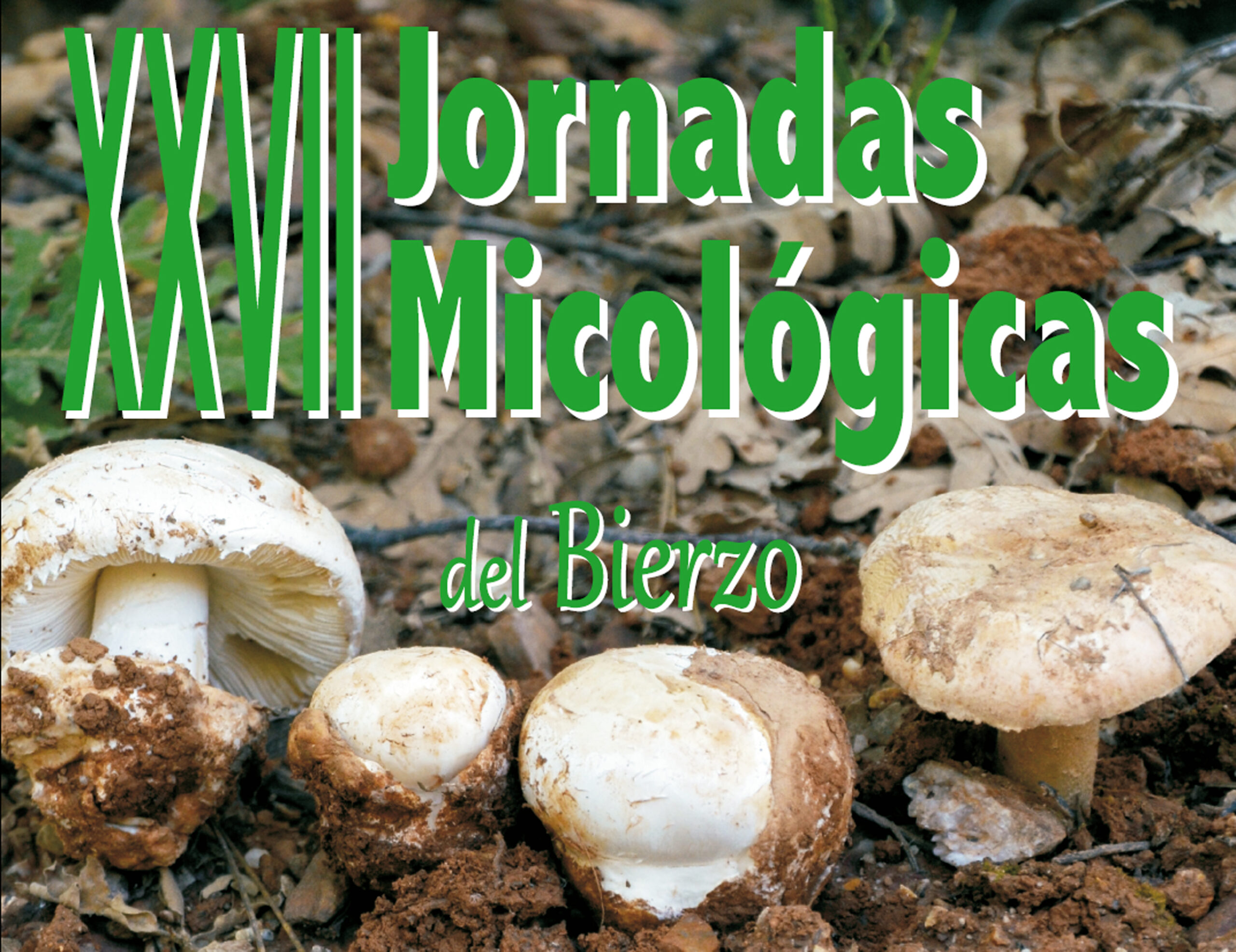 XXVII Jornadas micológicas del Bierzo